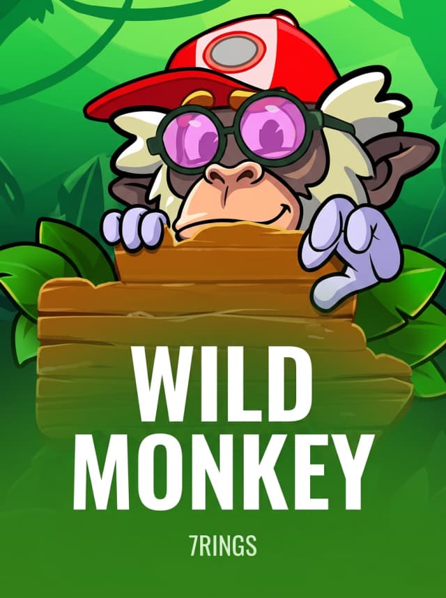 Wild Monkey
