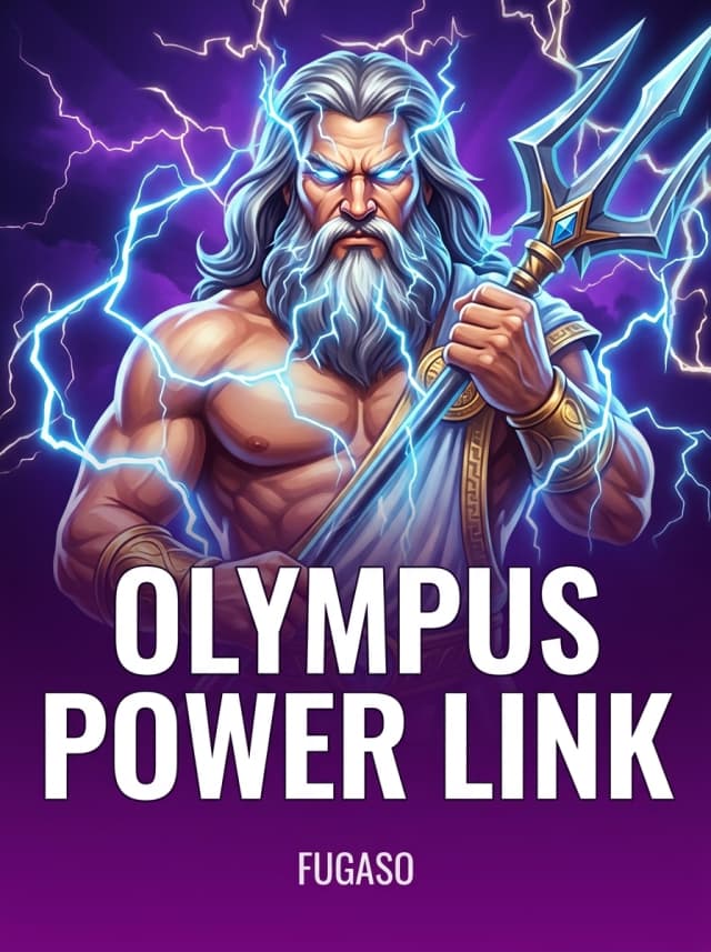 Olympus Power Link