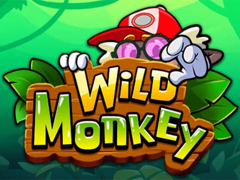 Wild Monkey