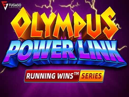 Olympus Power Link