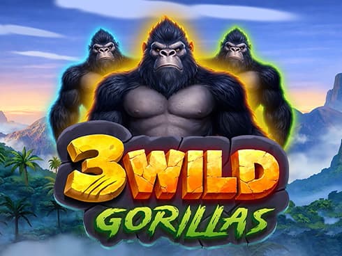 3 Wild Gorillas