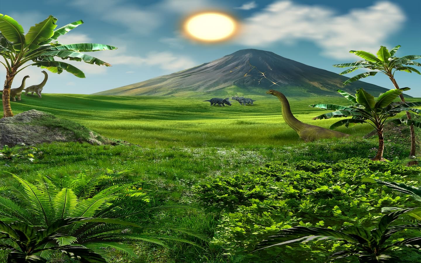 Game Background